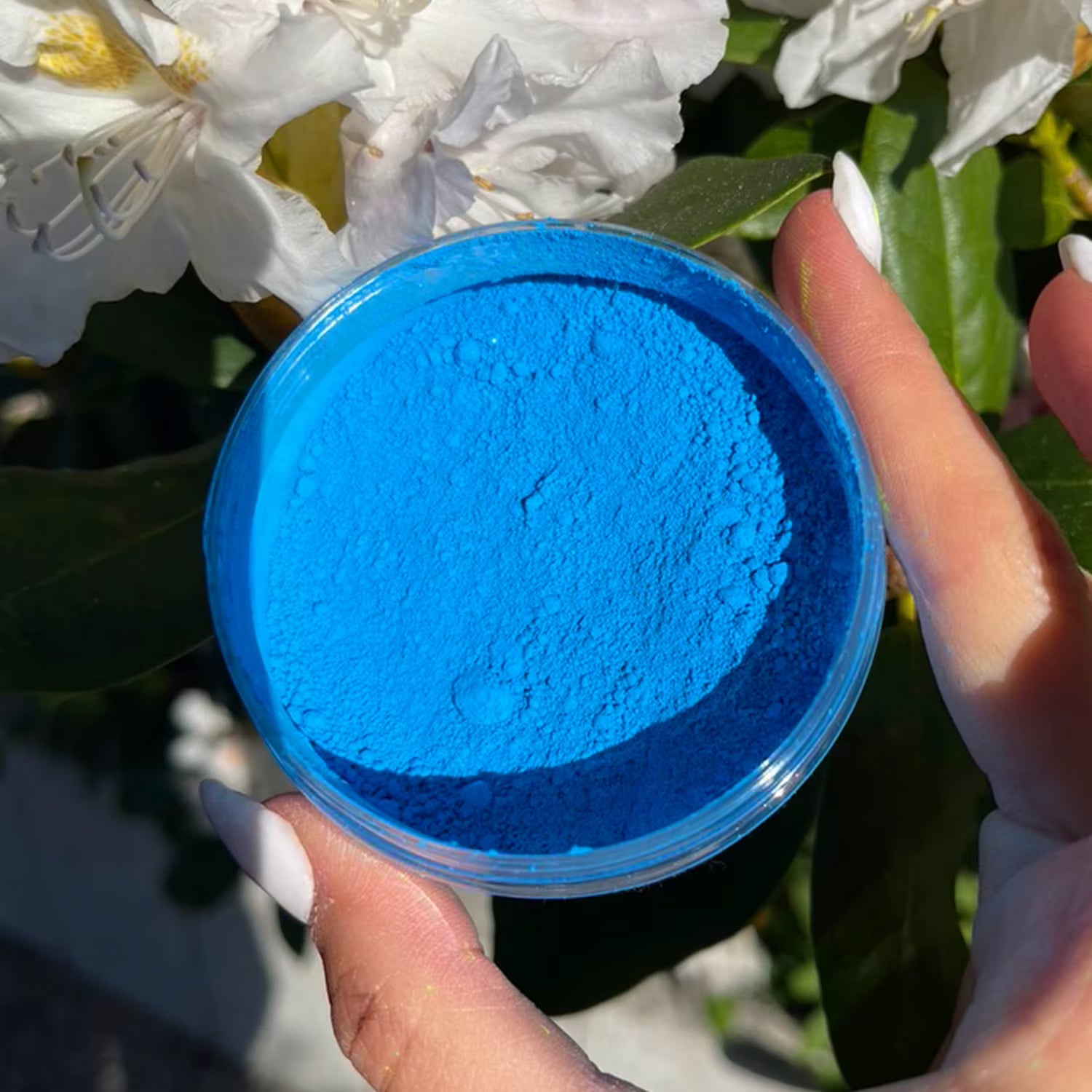 Neon Blue – Neon Pigment
